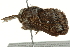  ( - BIOUG01198-G04)  @12 [ ] CreativeCommons - Attribution (2011) CBG Photography Group Centre for Biodiversity Genomics