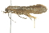  ( - BIOUG01234-H02)  @12 [ ] CreativeCommons - Attribution (2011) CBG Photography Group Centre for Biodiversity Genomics