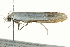  ( - BIOUG01234-H07)  @12 [ ] CreativeCommons - Attribution (2011) CBG Photography Group Centre for Biodiversity Genomics