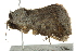  ( - BIOUG01159-C07)  @13 [ ] CreativeCommons - Attribution (2011) CBG Photography Group Centre for Biodiversity Genomics