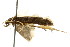  ( - BIOUG01160-F09)  @13 [ ] CreativeCommons - Attribution (2011) CBG Photography Group Centre for Biodiversity Genomics