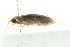  ( - BIOUG01160-H10)  @12 [ ] CreativeCommons - Attribution (2011) CBG Photography Group Centre for Biodiversity Genomics