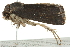  ( - BIOUG01163-E05)  @12 [ ] CreativeCommons - Attribution (2011) CBG Photography Group Centre for Biodiversity Genomics