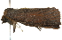  ( - BIOUG01235-C03)  @12 [ ] CreativeCommons - Attribution (2011) CBG Photography Group Centre for Biodiversity Genomics