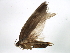  ( - BIOUG02151-F01)  @12 [ ] CreativeCommons - Attribution (2012) CBG Photography Group Centre for Biodiversity Genomics