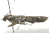  ( - BIOUG02408-H07)  @14 [ ] CreativeCommons - Attribution (2012) Graeme V. Cocks Centre for Biodiversity Genomics