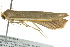  ( - BIOUG02250-C01)  @12 [ ] CreativeCommons - Attribution (2012) CBG Photography Group Centre for Biodiversity Genomics