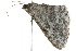  ( - BIOUG02121-C09)  @12 [ ] CreativeCommons - Attribution (2012) CBG Photography Group Centre for Biodiversity Genomics
