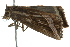  ( - BIOUG02121-E06)  @13 [ ] CreativeCommons - Attribution (2012) CBG Photography Group Centre for Biodiversity Genomics