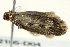  ( - BIOUG02105-D04)  @12 [ ] CreativeCommons - Attribution (2012) CBG Photography Group Centre for Biodiversity Genomics