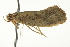  ( - BIOUG02105-F08)  @13 [ ] CreativeCommons - Attribution (2012) CBG Photography Group Centre for Biodiversity Genomics