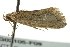  ( - BIOUG02105-F09)  @13 [ ] CreativeCommons - Attribution (2012) CBG Photography Group Centre for Biodiversity Genomics