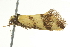  ( - BIOUG02105-G07)  @13 [ ] CreativeCommons - Attribution (2012) CBG Photography Group Centre for Biodiversity Genomics