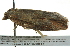 ( - BIOUG02106-C05)  @12 [ ] CreativeCommons - Attribution (2012) CBG Photography Group Centre for Biodiversity Genomics