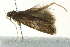  ( - BIOUG02109-G11)  @13 [ ] CreativeCommons - Attribution (2012) CBG Photography Group Centre for Biodiversity Genomics