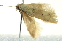  ( - BIOUG02109-H06)  @12 [ ] CreativeCommons - Attribution (2012) CBG Photography Group Centre for Biodiversity Genomics