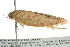  ( - BIOUG02110-A07)  @13 [ ] CreativeCommons - Attribution (2012) CBG Photography Group Centre for Biodiversity Genomics