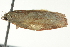  ( - BIOUG02110-D03)  @12 [ ] CreativeCommons - Attribution (2012) CBG Photography Group Centre for Biodiversity Genomics