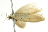  ( - BIOUG02110-H03)  @12 [ ] CreativeCommons - Attribution (2012) CBG Photography Group Centre for Biodiversity Genomics