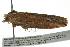  ( - BIOUG02111-G11)  @12 [ ] CreativeCommons - Attribution (2012) CBG Photography Group Centre for Biodiversity Genomics