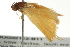  ( - BIOUG02112-B11)  @13 [ ] CreativeCommons - Attribution (2012) CBG Photography Group Centre for Biodiversity Genomics