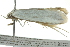  ( - BIOUG02112-C09)  @12 [ ] CreativeCommons - Attribution (2012) CBG Photography Group Centre for Biodiversity Genomics