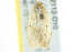  ( - BIOUG02112-D10)  @13 [ ] CreativeCommons - Attribution (2012) CBG Photography Group Centre for Biodiversity Genomics