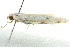 ( - BIOUG02113-A11)  @12 [ ] CreativeCommons - Attribution (2012) CBG Photography Group Centre for Biodiversity Genomics