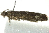  ( - BIOUG02113-A12)  @12 [ ] CreativeCommons - Attribution (2012) CBG Photography Group Centre for Biodiversity Genomics