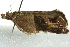  ( - BIOUG02113-D02)  @12 [ ] CreativeCommons - Attribution (2012) CBG Photography Group Centre for Biodiversity Genomics