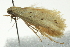  ( - BIOUG02113-D09)  @12 [ ] CreativeCommons - Attribution (2012) CBG Photography Group Centre for Biodiversity Genomics