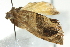  ( - BIOUG02113-E01)  @12 [ ] CreativeCommons - Attribution (2012) CBG Photography Group Centre for Biodiversity Genomics