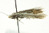  ( - BIOUG02113-F12)  @13 [ ] CreativeCommons - Attribution (2012) CBG Photography Group Centre for Biodiversity Genomics