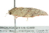  ( - BIOUG02114-C03)  @12 [ ] CreativeCommons - Attribution (2012) CBG Photography Group Centre for Biodiversity Genomics