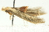  ( - BIOUG02120-B09)  @13 [ ] CreativeCommons - Attribution (2012) CBG Photography Group Centre for Biodiversity Genomics