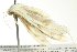  ( - BIOUG02122-H05)  @13 [ ] CreativeCommons - Attribution (2012) CBG Photography Group Centre for Biodiversity Genomics
