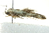  ( - BIOUG02122-H09)  @12 [ ] CreativeCommons - Attribution (2012) CBG Photography Group Centre for Biodiversity Genomics
