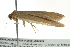  ( - BIOUG02123-B03)  @13 [ ] CreativeCommons - Attribution (2012) CBG Photography Group Centre for Biodiversity Genomics