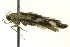  ( - BIOUG02123-D06)  @12 [ ] CreativeCommons - Attribution (2012) CBG Photography Group Centre for Biodiversity Genomics