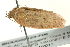  ( - BIOUG02123-F06)  @13 [ ] CreativeCommons - Attribution (2012) CBG Photography Group Centre for Biodiversity Genomics