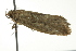 ( - BIOUG02123-G07)  @13 [ ] CreativeCommons - Attribution (2012) CBG Photography Group Centre for Biodiversity Genomics