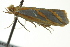 ( - BIOUG02125-B09)  @12 [ ] CreativeCommons - Attribution (2012) CBG Photography Group Centre for Biodiversity Genomics