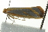  ( - BIOUG02125-B10)  @12 [ ] CreativeCommons - Attribution (2012) CBG Photography Group Centre for Biodiversity Genomics