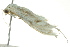  ( - BIOUG02125-D04)  @13 [ ] CreativeCommons - Attribution (2012) CBG Photography Group Centre for Biodiversity Genomics