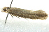  ( - BIOUG02125-E12)  @12 [ ] CreativeCommons - Attribution (2012) CBG Photography Group Centre for Biodiversity Genomics