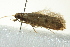  ( - BIOUG02125-F05)  @13 [ ] CreativeCommons - Attribution (2012) CBG Photography Group Centre for Biodiversity Genomics