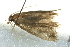  ( - BIOUG02126-C03)  @12 [ ] CreativeCommons - Attribution (2012) CBG Photography Group Centre for Biodiversity Genomics