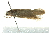  ( - BIOUG02126-C09)  @12 [ ] CreativeCommons - Attribution (2012) CBG Photography Group Centre for Biodiversity Genomics