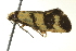  ( - BIOUG02127-A04)  @13 [ ] CreativeCommons - Attribution (2012) CBG Photography Group Centre for Biodiversity Genomics