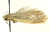  ( - BIOUG02127-G12)  @12 [ ] CreativeCommons - Attribution (2012) CBG Photography Group Centre for Biodiversity Genomics